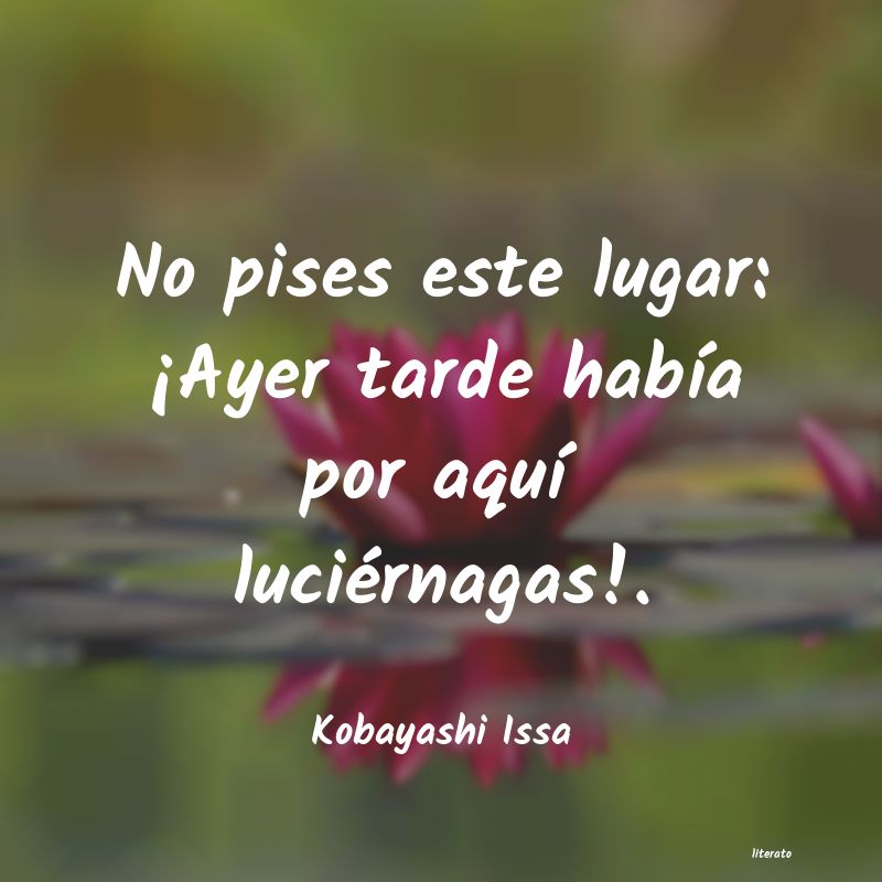frases de Kobayashi Issa