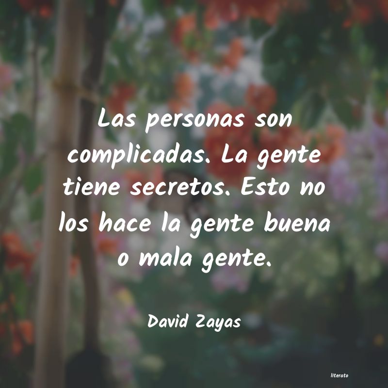 Frases de David Zayas