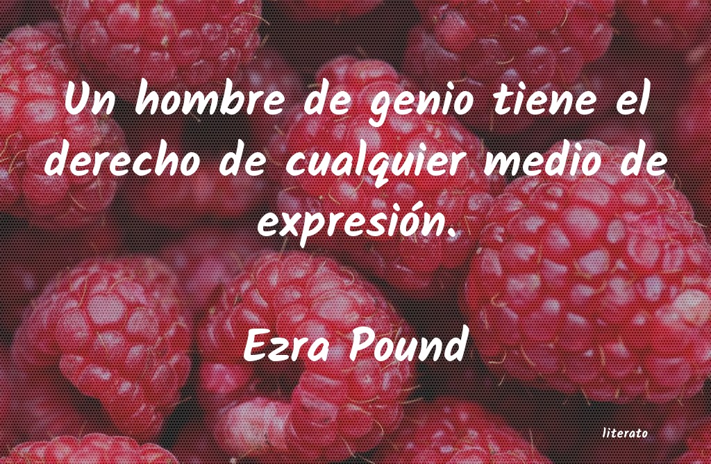 Frases de Ezra Pound