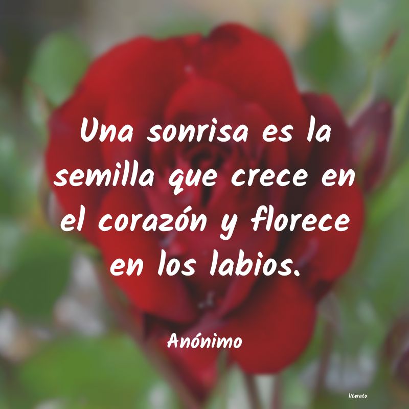 frases