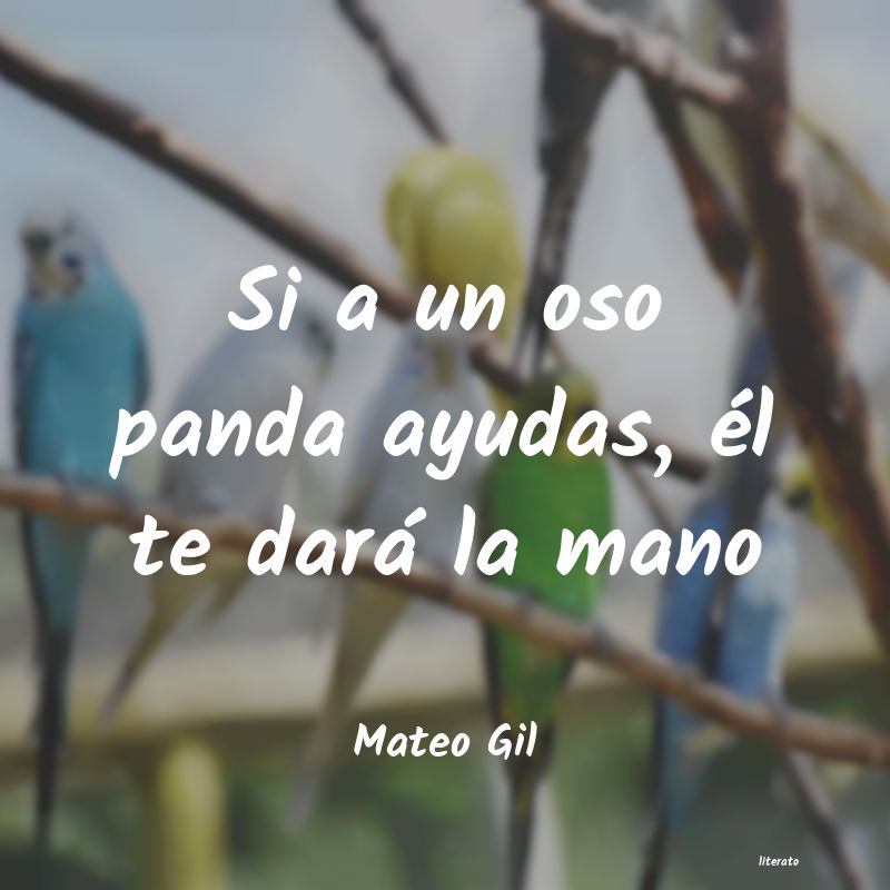 Frases de Mateo Gil