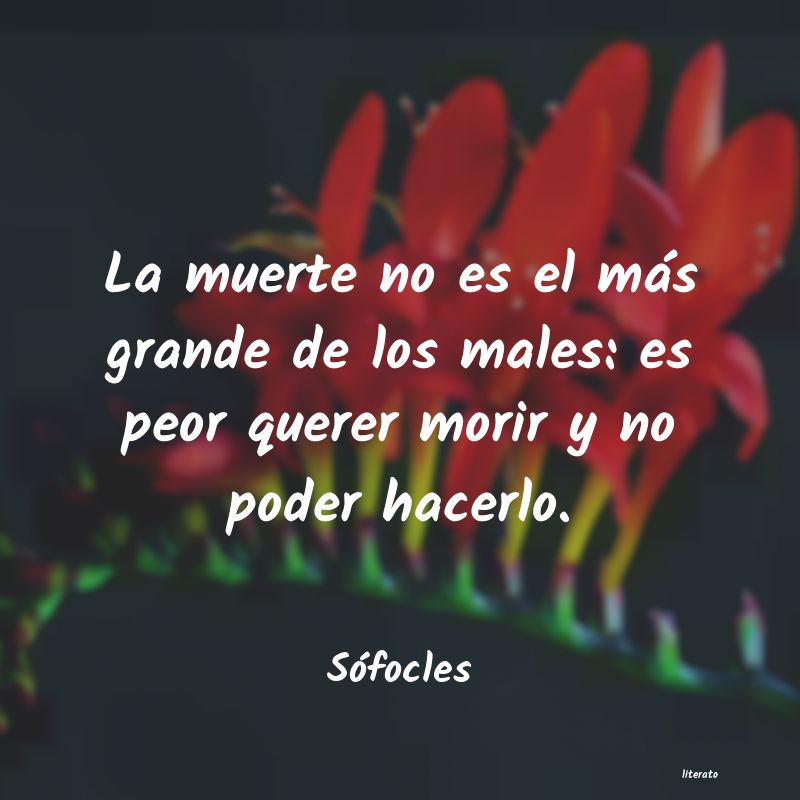 Frases de Sófocles