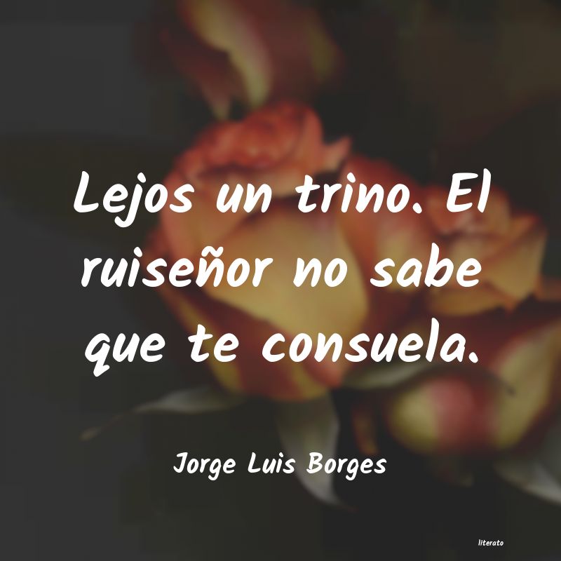 ausencia de jorge luis borges opiniones