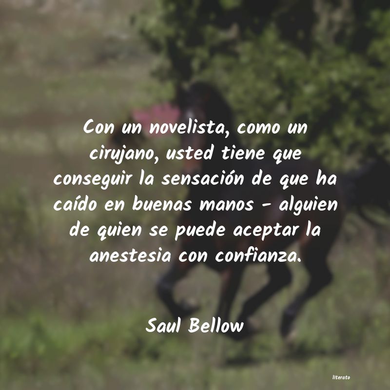 frases de Saul Bellow