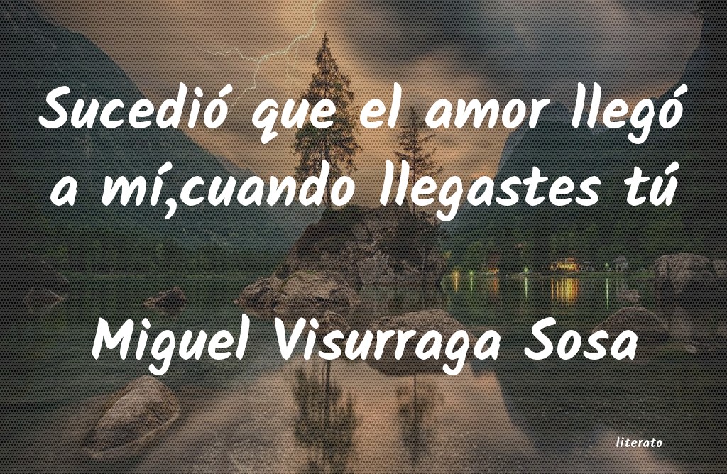 Frases de Miguel Visurraga Sosa