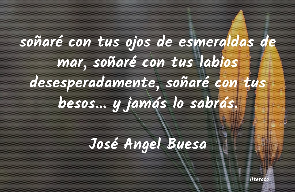 Frases de José Angel Buesa