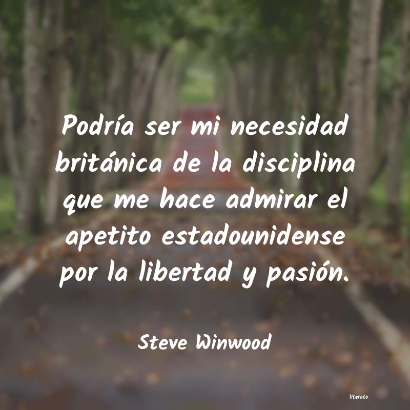 Frases de Steve Winwood