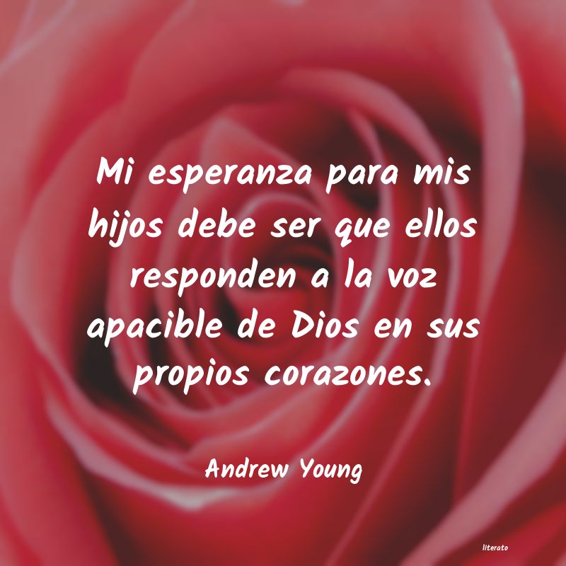 Frases de Andrew Young