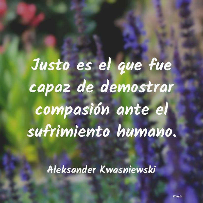 frases de Aleksander Kwasniewski