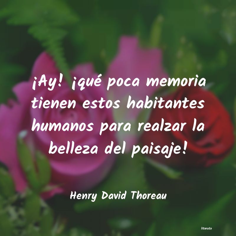 frases de Henry David Thoreau