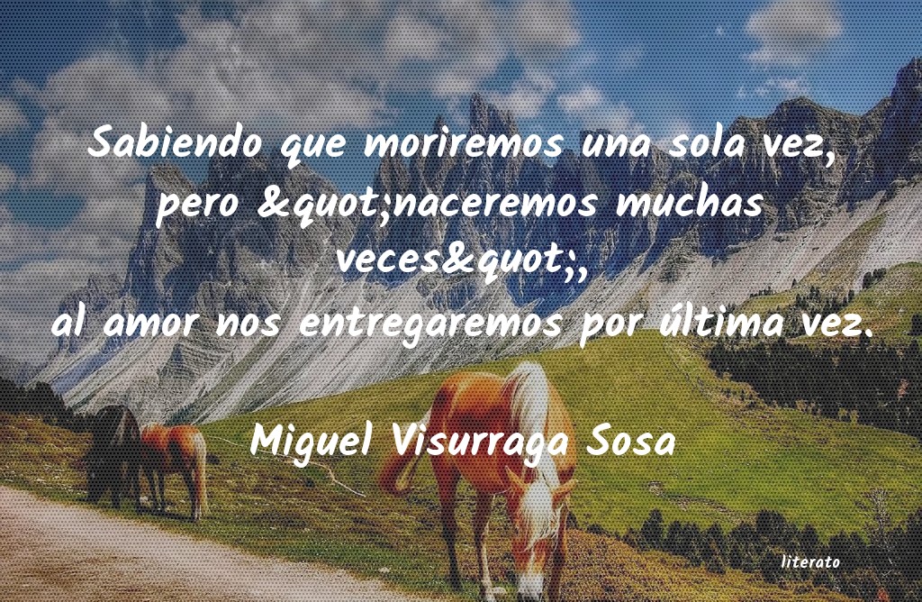 frases de Miguel Visurraga Sosa