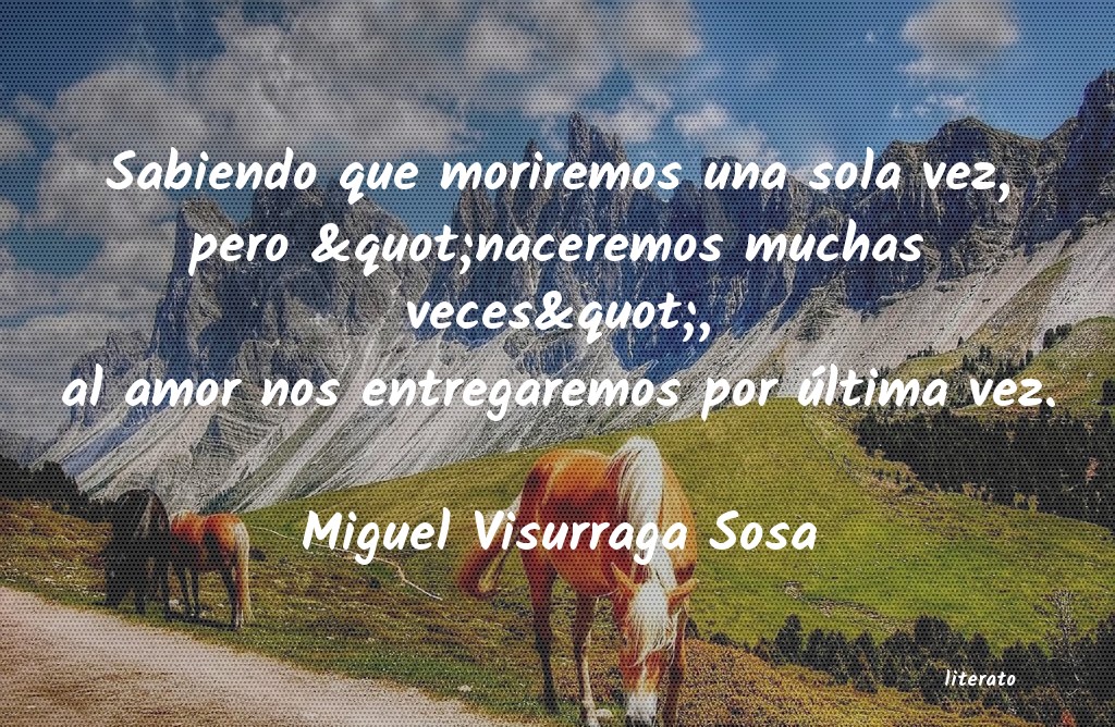 Frases de Miguel Visurraga Sosa