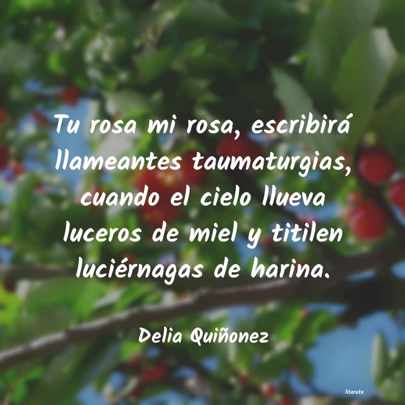 Frases de Delia Quiñonez