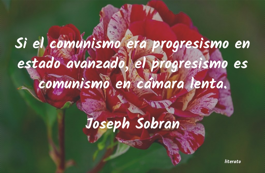 Frases de Joseph Sobran