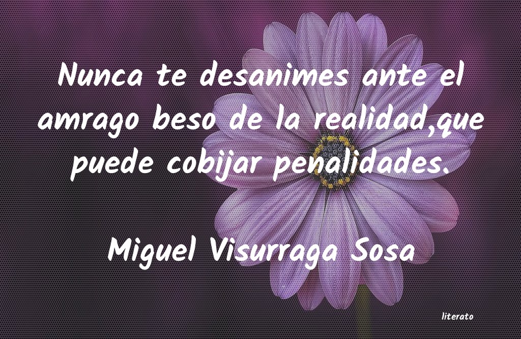 Frases de Miguel Visurraga Sosa