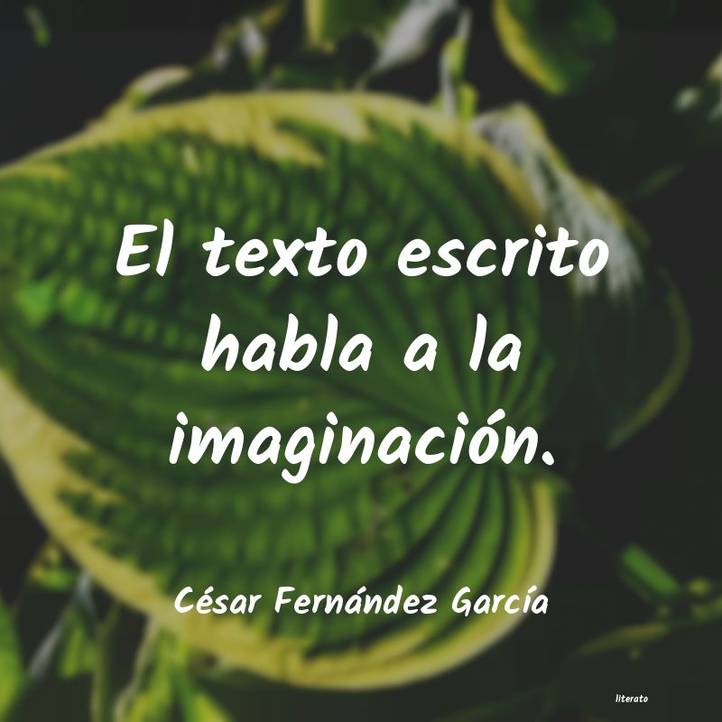 Frases de César Fernández García