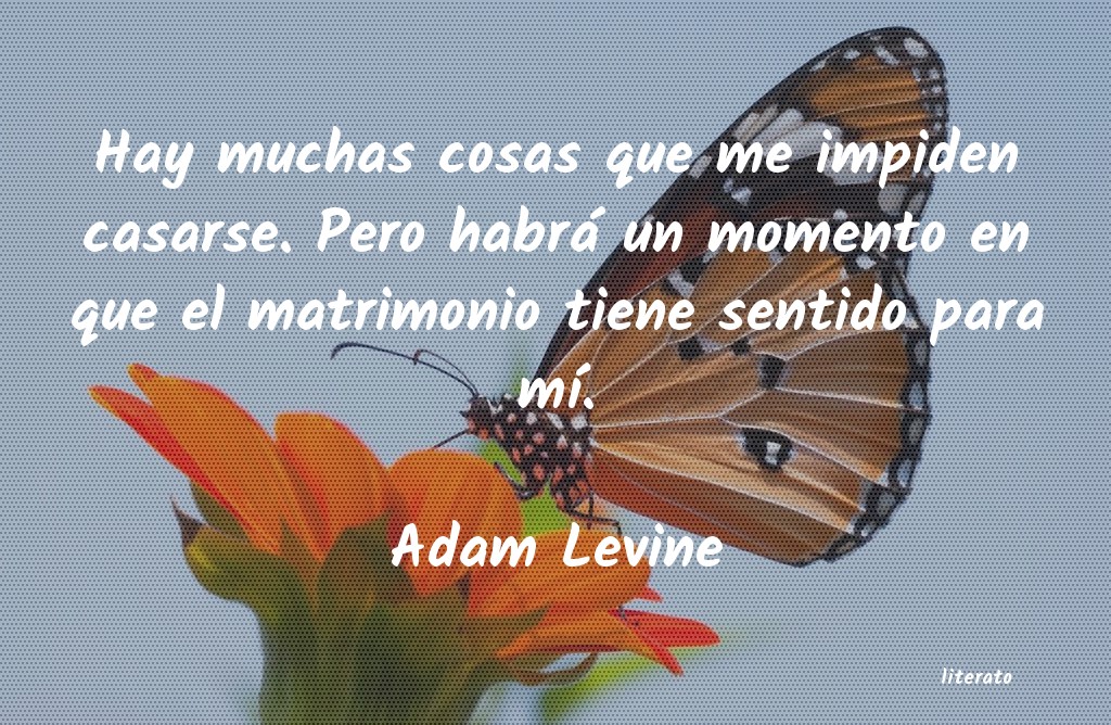 Frases de Adam Levine