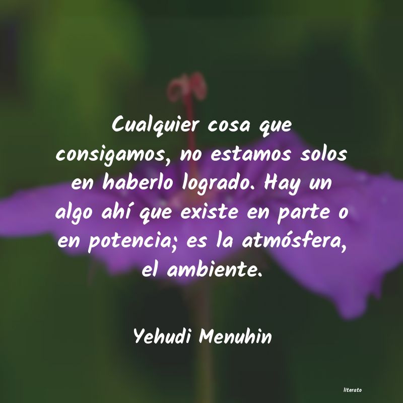 Frases de Yehudi Menuhin