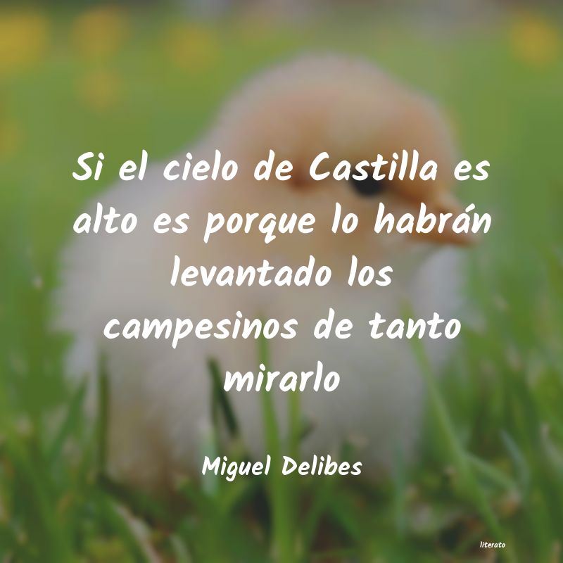 frases de Miguel Delibes