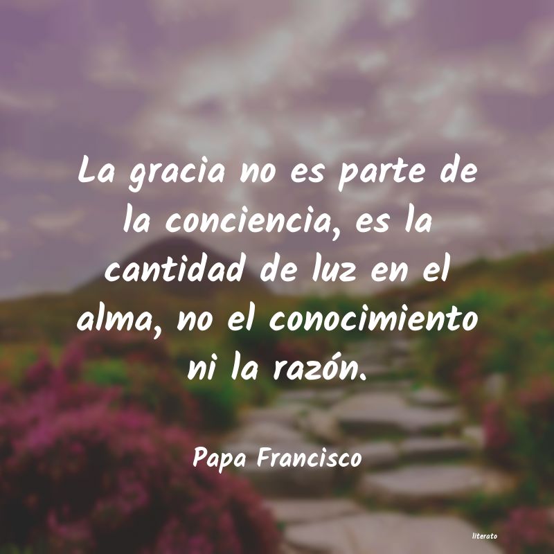 Frases de Papa Francisco