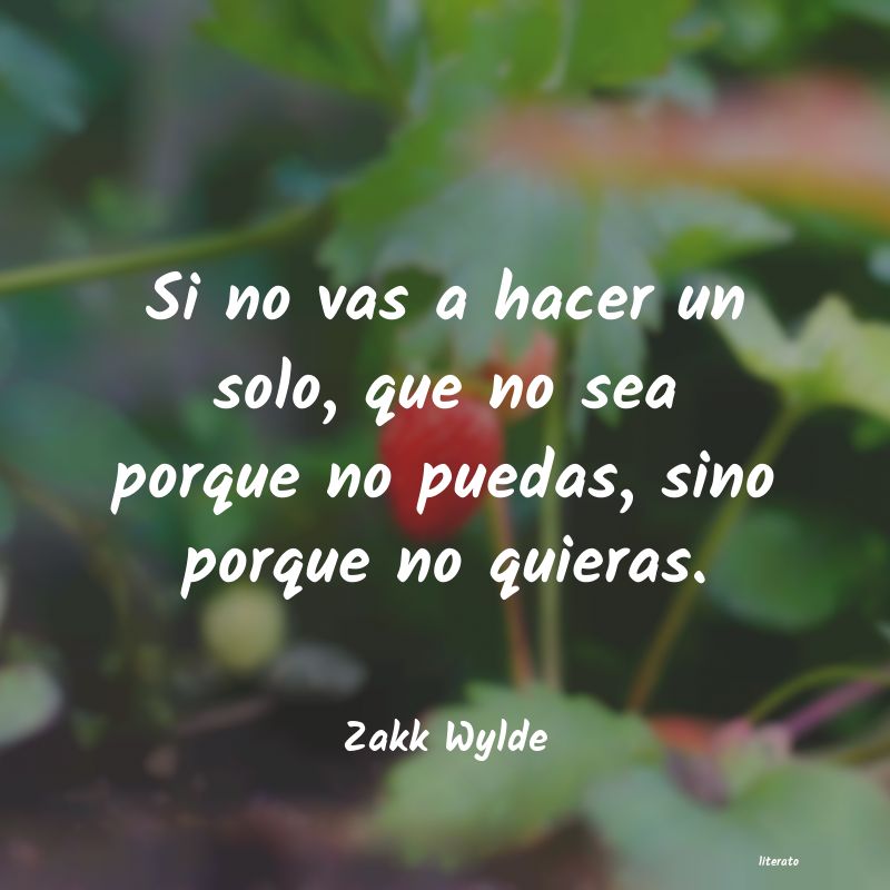 frases de Zakk Wylde