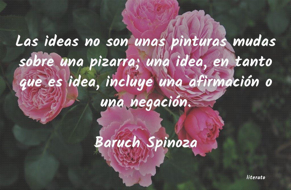 Frases de Baruch Spinoza