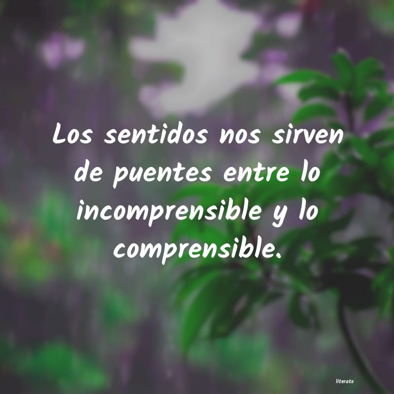 frases