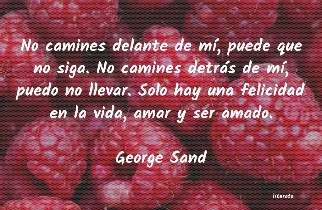 Frases de George Sand