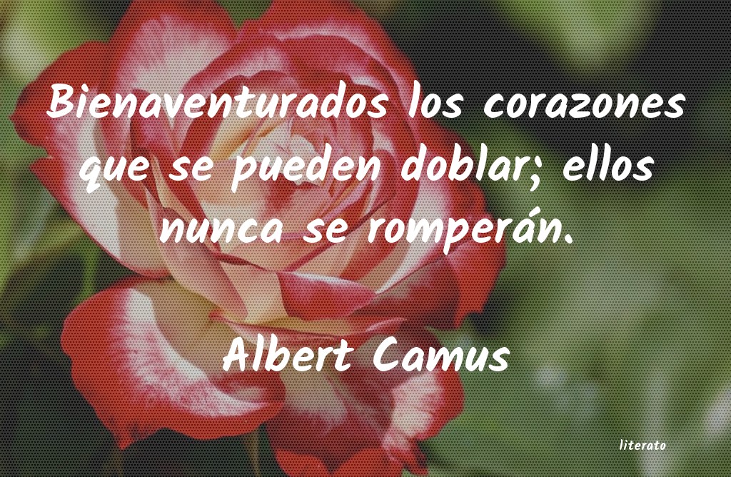 Frases de Albert Camus