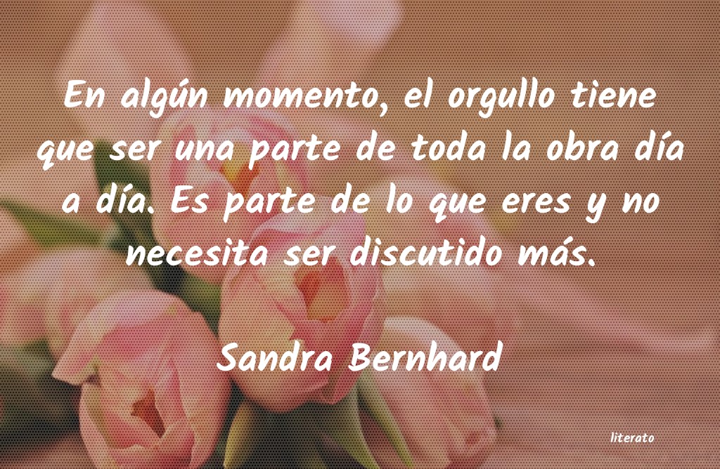 Frases de Sandra Bernhard