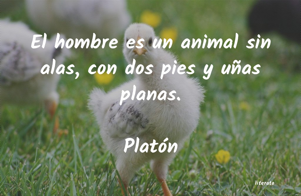 Frases de Platón