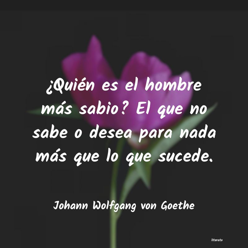 Frases de Johann Wolfgang von Goethe