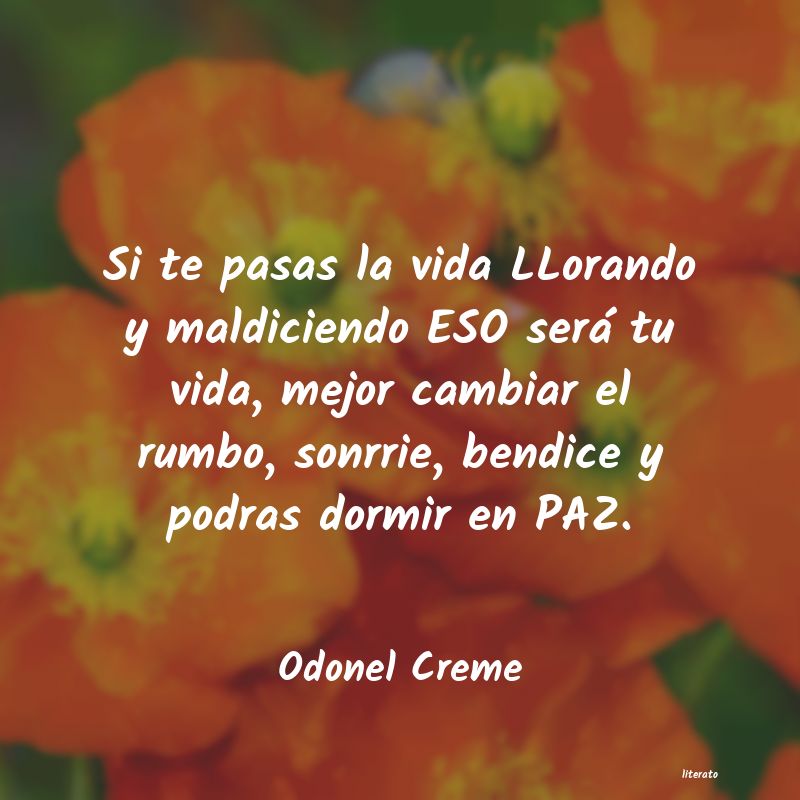 Frases de Odonel Creme