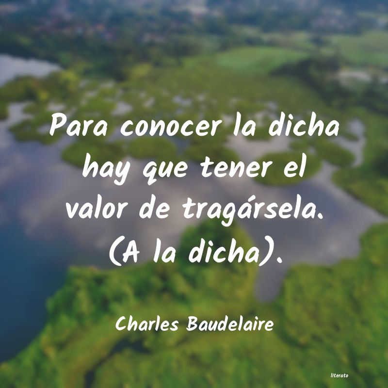 Frases de Charles Baudelaire