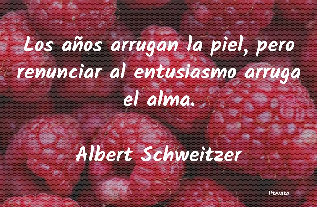 frases de Albert Schweitzer