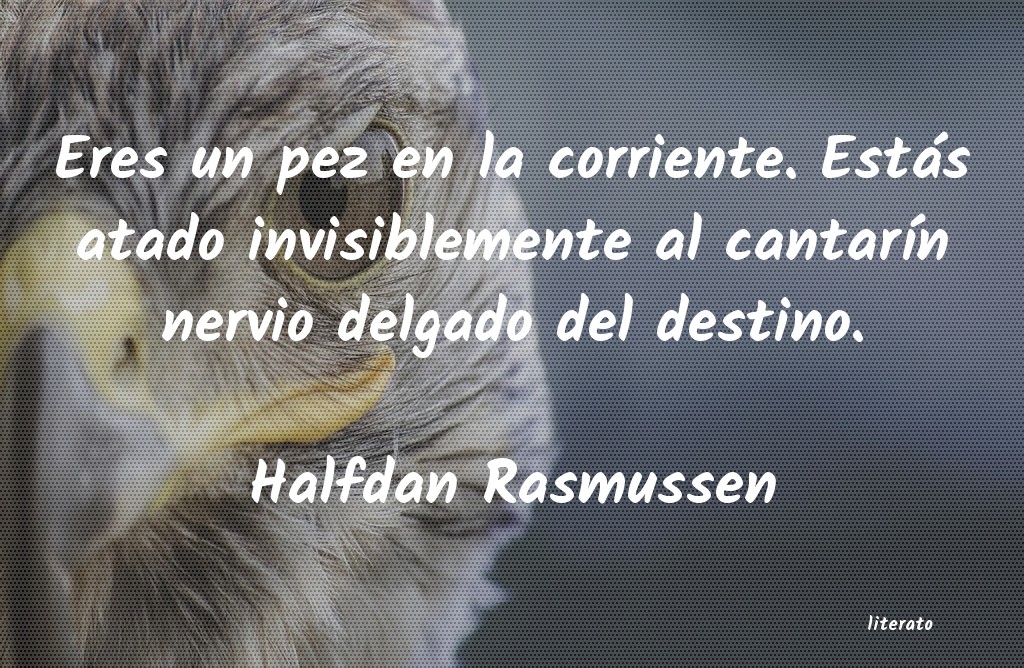 Frases de Halfdan Rasmussen