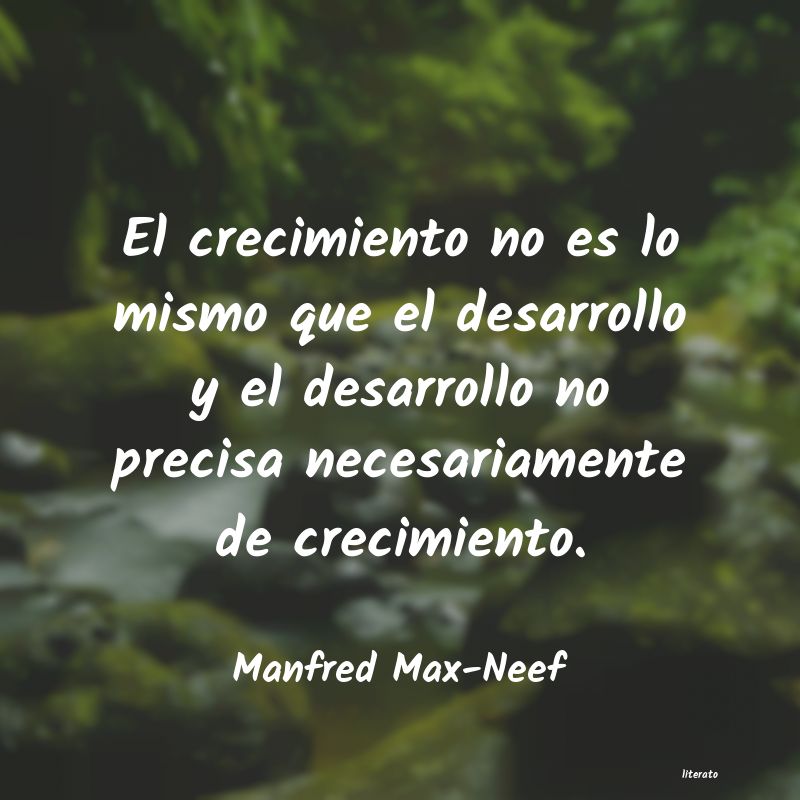 Frases de Manfred Max-Neef