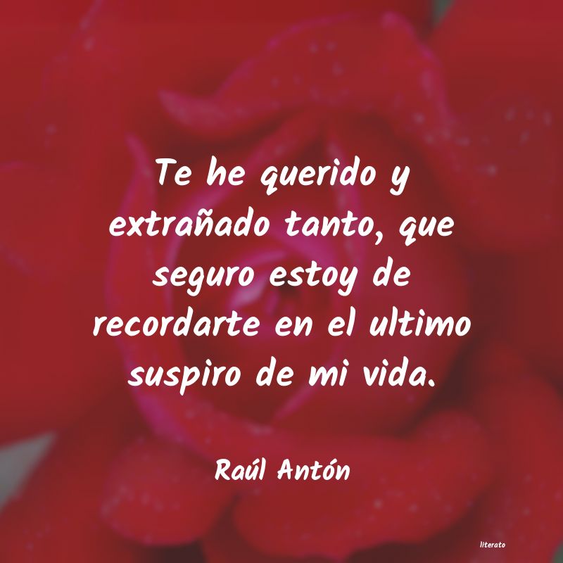 Frases de Raúl Antón