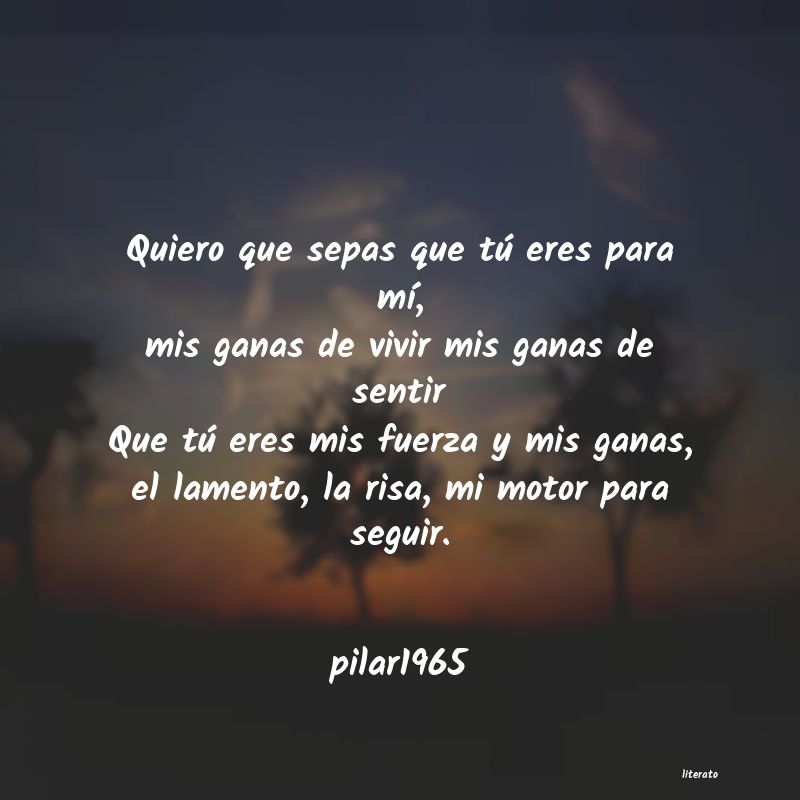 Frases de pilar1965