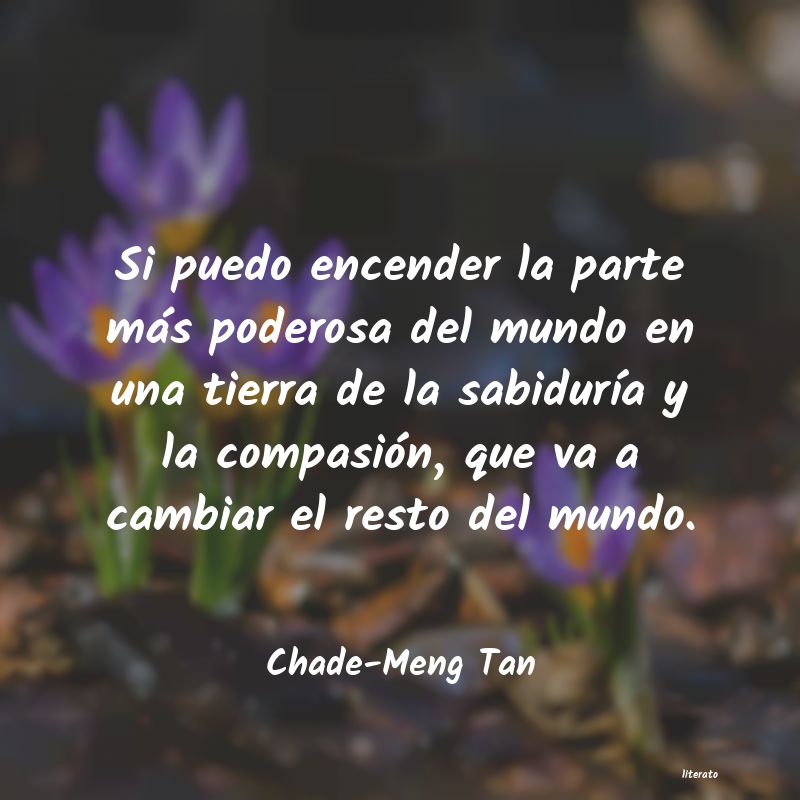 frases de Chade-Meng Tan