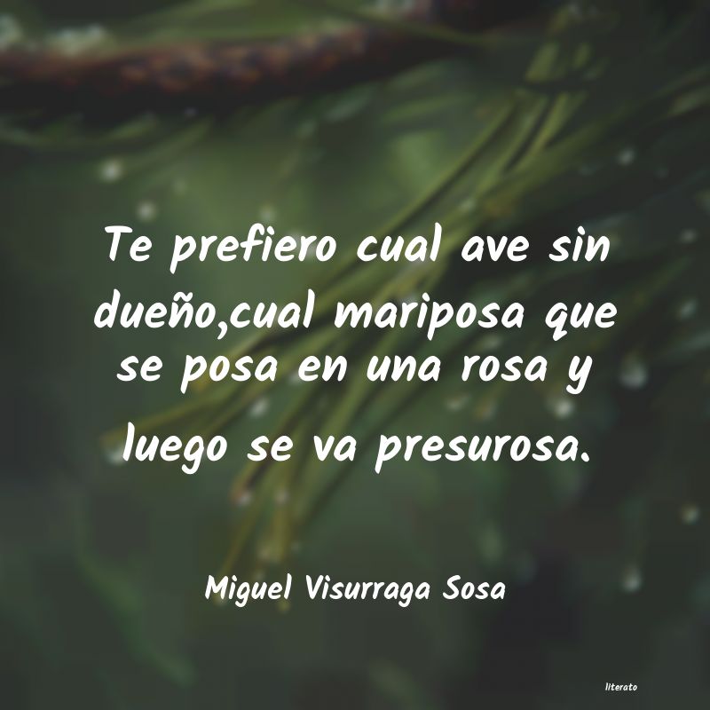 Frases de Miguel Visurraga Sosa