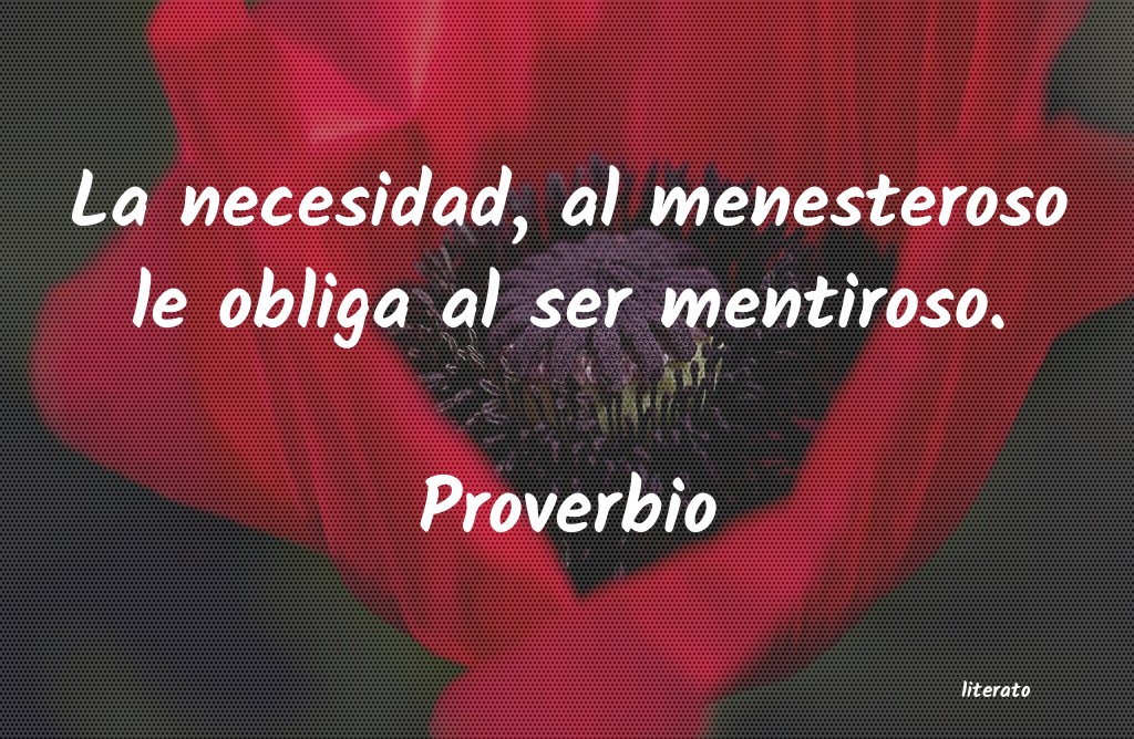 Frases de Proverbio