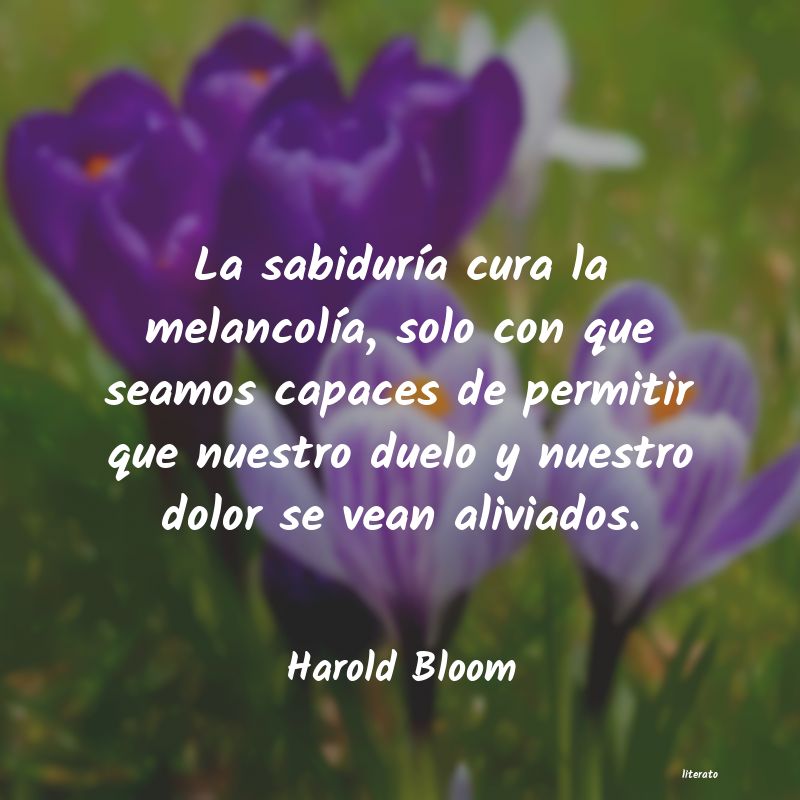 Frases de Harold Bloom