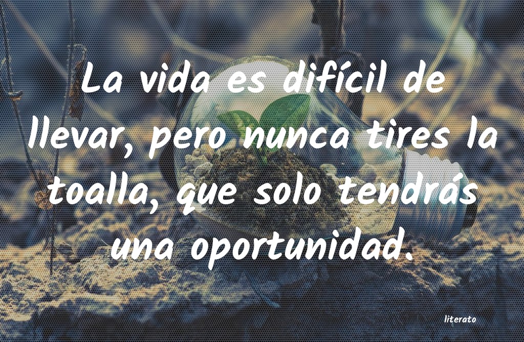 frases