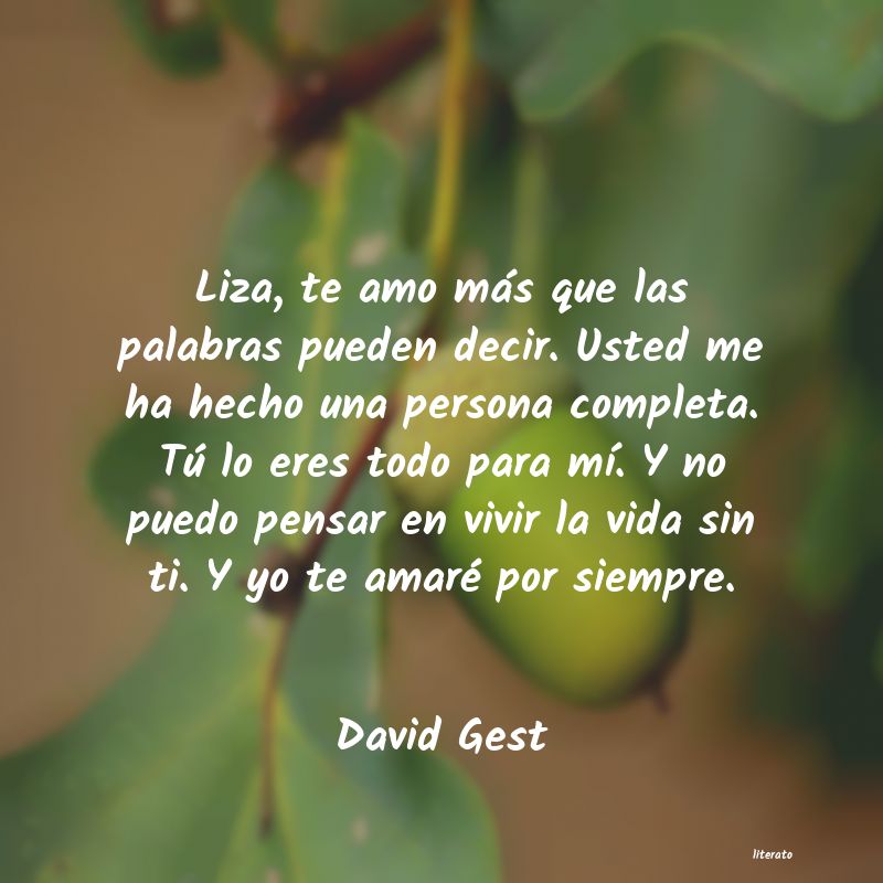 Frases de David Gest