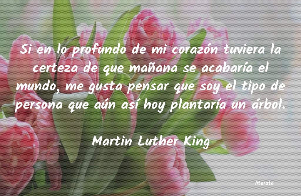 Frases de Martin Luther King