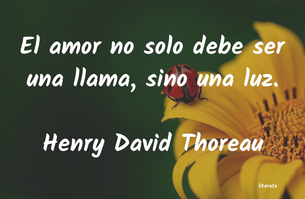 Frases de Henry David Thoreau