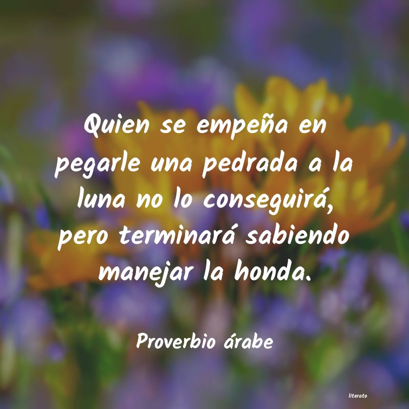 Frases de Proverbio árabe