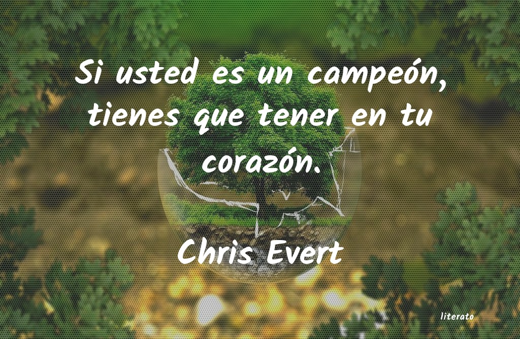 Frases de Chris Evert