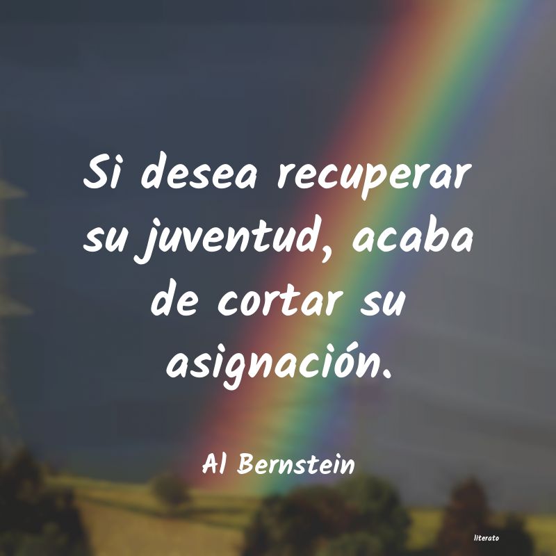 Frases de Al Bernstein